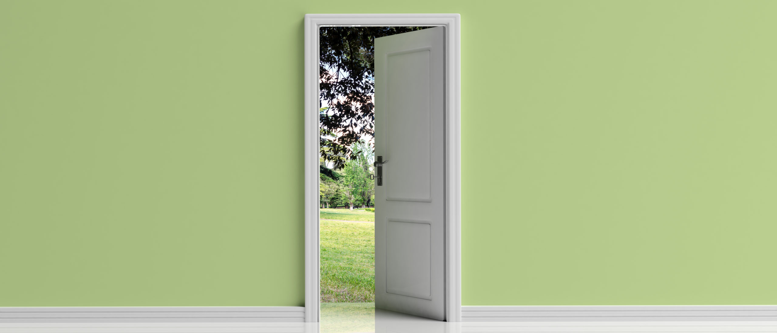 Otwarte drzwi, przejście do natury, nadzieja. Otwarte drzwi na tle zielonej pastelowej ściany, neway, neway exclusive doors,