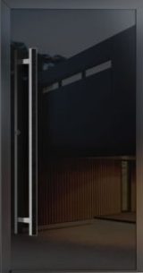 Nowoczesne drzwi zewnętrzne NEWAY D211 z panelem szklanym o gr. 6 mm i fazowanymi krawędziami